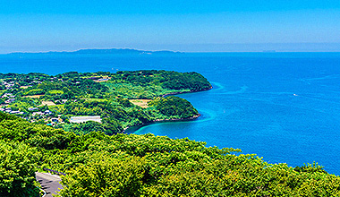 私たちの取り組み